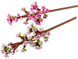 LEGO Cherry Blossoms 40725