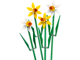 LEGO Flowers 3 Pack: Lotus, Daffodils, and Roses 40647 40747 40460
