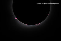 2024 Total Solar Eclipse Prominences 8x10 Print (Coming Soon)