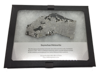 Seymchan 163 grams Pallasite Meteorite Slice